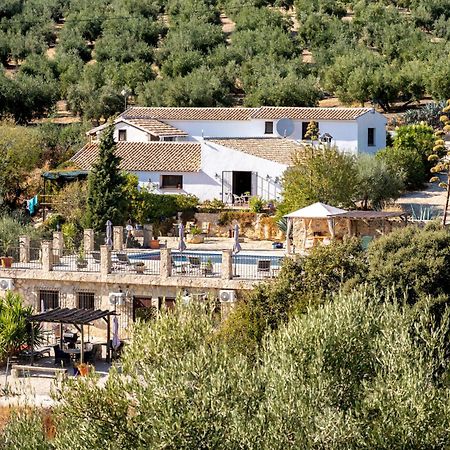 Hacienda La Buena Vida B&B En Appartementen Casita La Bruja Algarinejo Bilik gambar