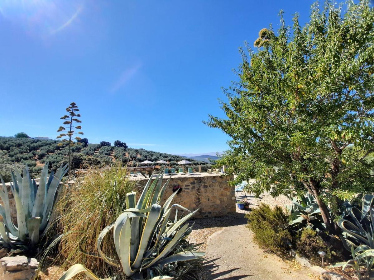 Hacienda La Buena Vida B&B En Appartementen Casita La Bruja Algarinejo Luaran gambar