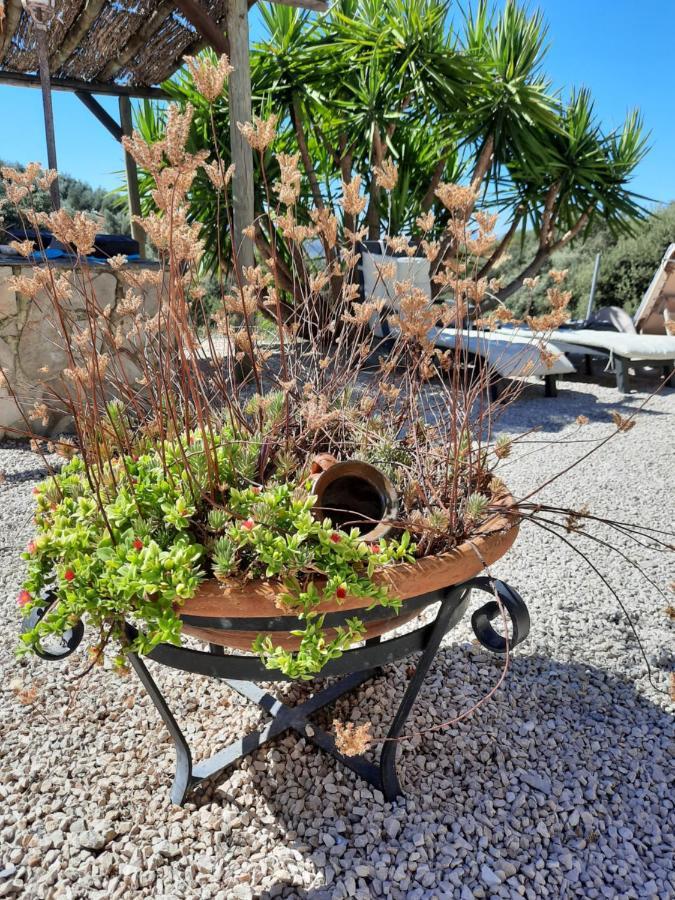 Hacienda La Buena Vida B&B En Appartementen Casita La Bruja Algarinejo Luaran gambar