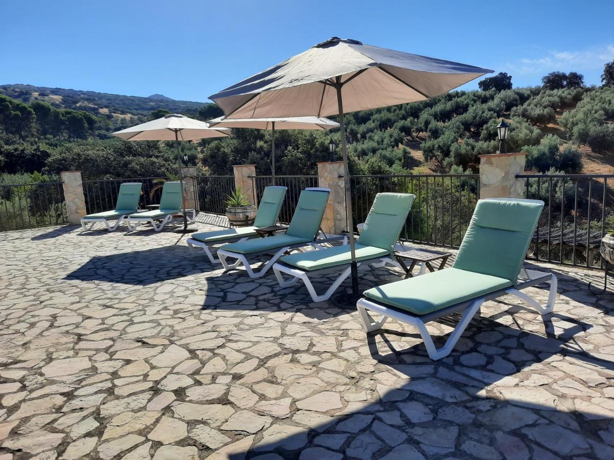Hacienda La Buena Vida B&B En Appartementen Casita La Bruja Algarinejo Luaran gambar