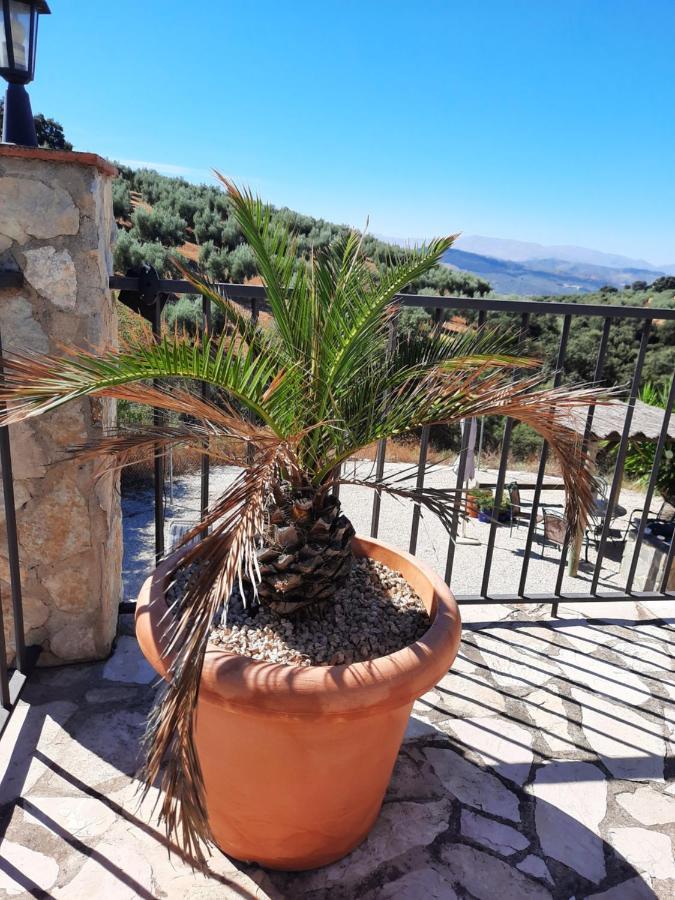 Hacienda La Buena Vida B&B En Appartementen Casita La Bruja Algarinejo Luaran gambar