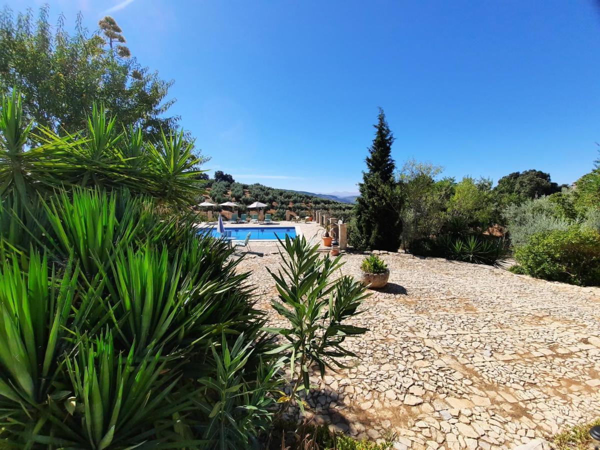 Hacienda La Buena Vida B&B En Appartementen Casita La Bruja Algarinejo Luaran gambar