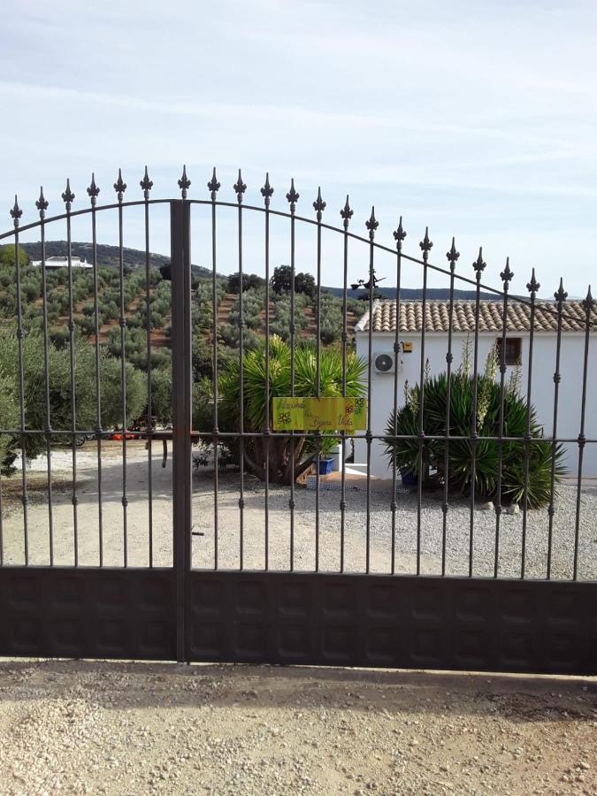Hacienda La Buena Vida B&B En Appartementen Casita La Bruja Algarinejo Luaran gambar