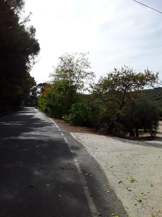 Hacienda La Buena Vida B&B En Appartementen Casita La Bruja Algarinejo Luaran gambar