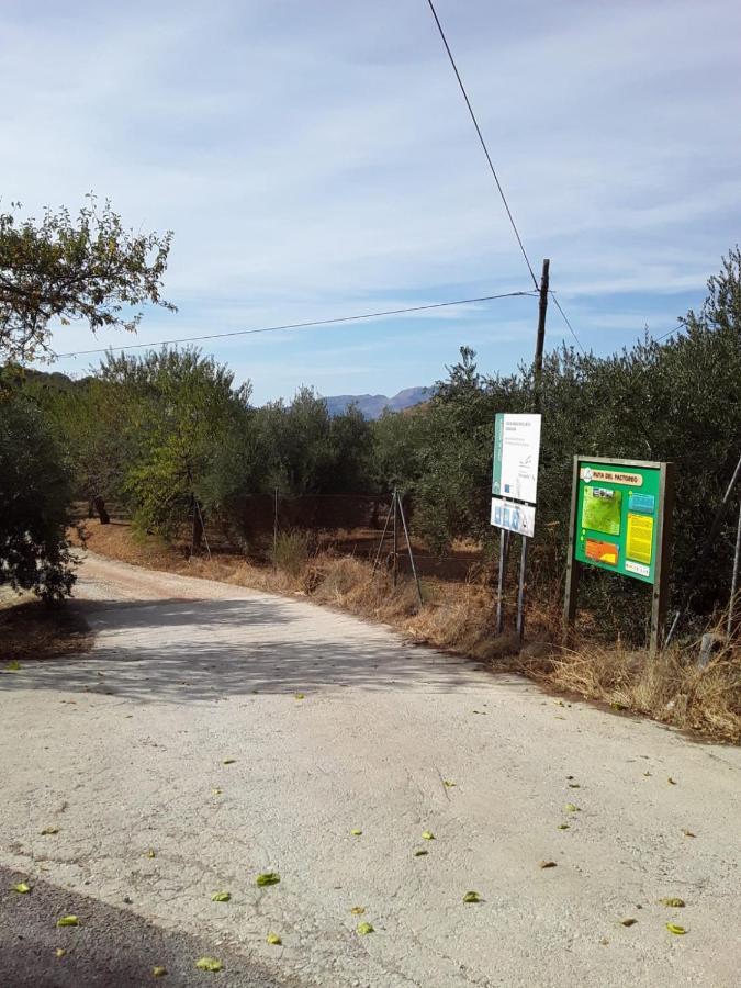 Hacienda La Buena Vida B&B En Appartementen Casita La Bruja Algarinejo Luaran gambar