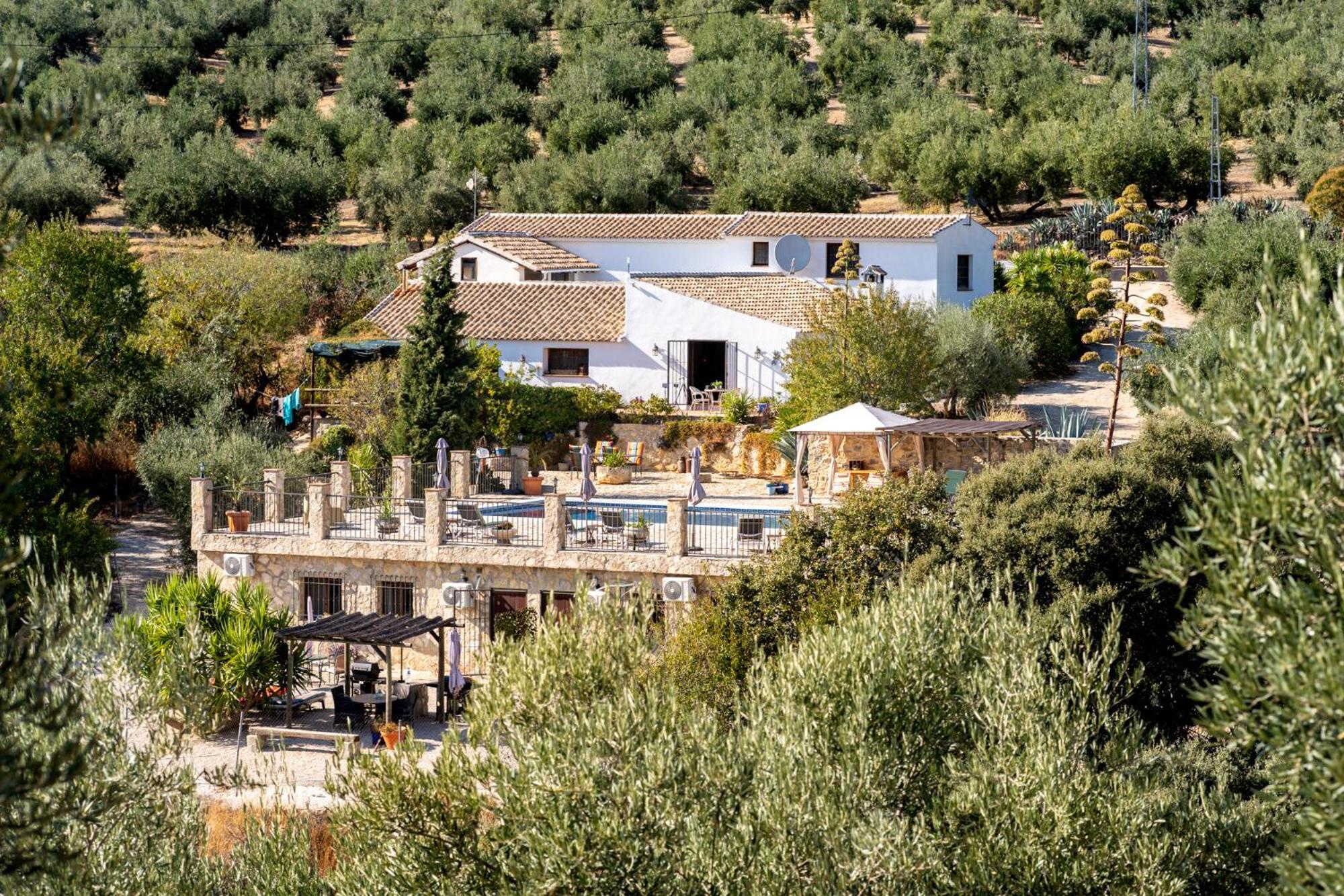 Hacienda La Buena Vida B&B En Appartementen Casita La Bruja Algarinejo Bilik gambar